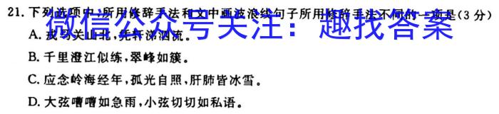 衡水金卷先享题·月考卷 2022-2023学年度下学期高三年级一调考试(老高考)语文