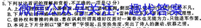 衡水金卷先享题·月考卷 2022-2023下学期高三一调考试(老高考)语文