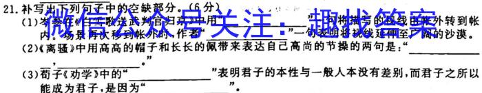 衡水金卷先享题2023届信息卷 全国甲卷B(一)语文