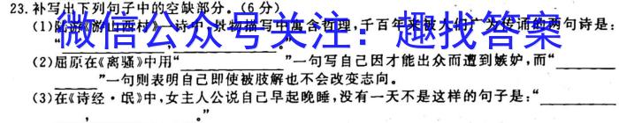 2022-2023学年陕西省高一年级2月联考(23-243A)语文