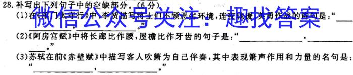 陕西省七校联考2022-2023学年度第一学期期末质量检测(2023.02)语文