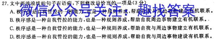 2023年陕西省初中学业水平考试·仿真摸底卷（A）语文