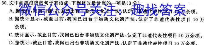 天一大联考2022-2023学年（下）高三年级联合考试语文