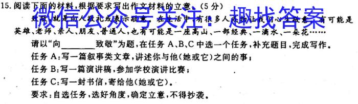 衡水金卷 2023届西南名校高三第一次大联考语文