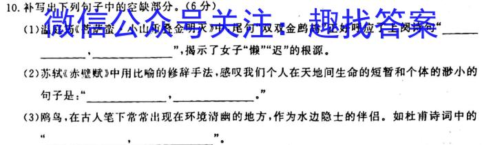 2022-2023学年江西省高二试卷2月联考(23-259B)语文