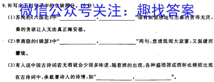 智慧上进2023届限时训练40分钟·题型专练卷(四)语文