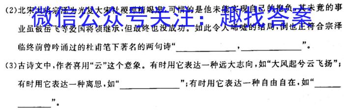 甘肃省镇原县2023年高考网上阅卷模拟考试语文