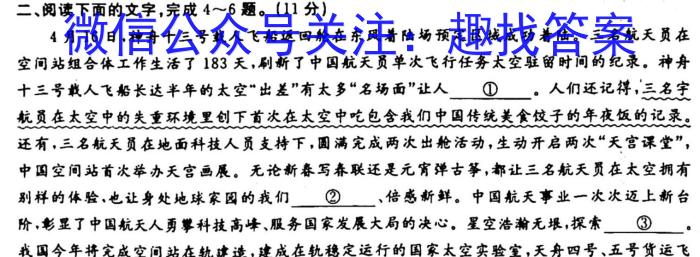 2023年普通高等学校招生全国统一考试名校联盟·模拟信息卷(六)6语文