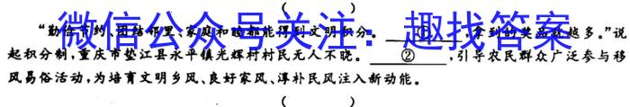 陕西省2023年初中毕业检测卷语文