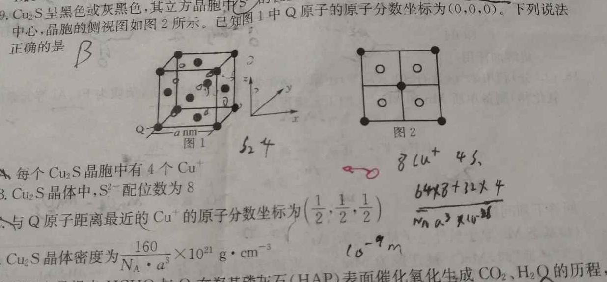 2023届湖北省高三考试2月联考(23-288C)化学