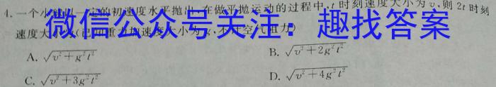 安徽省十联考 2023-2024学年度第二学期高一开学摸底联考(231394D)物理