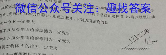 山西省2024~2023学年度八年级上学期期末质量检测 R-PGZX N SHX物理