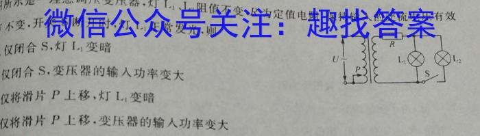 佩佩教育·2023年普通高校统一招生考试 湖南四大名校名师团队模拟冲刺卷(1)物理