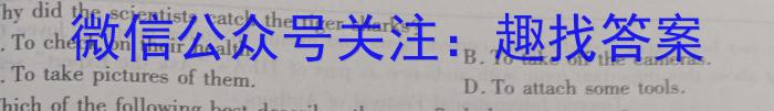 2023届内蒙古高三考试2月联考(标识※)英语试题