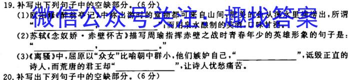 安徽师范大学附属中学2022-2023学年第一学期高一年级教学质量诊断测试语文