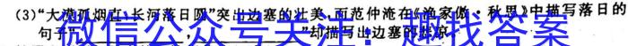 金科大联考 2022~2023学年度高三2月质量检测(新教材)语文