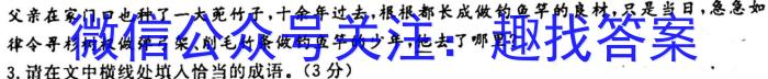 安徽第一卷·2023年九年级中考第一轮复习（三）语文