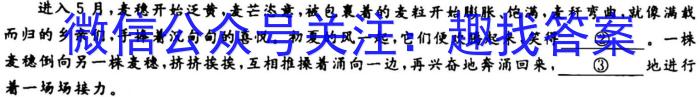 考前信息卷·第五辑 砺剑·2023相约高考 强基提能拔高卷(三)3语文