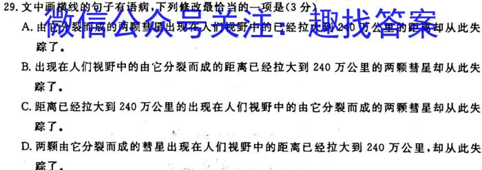 智慧上进2023届限时训练40分钟·题型专练卷(十)语文