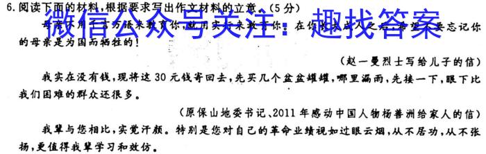 2022-2023衡水金卷先享题高考备考专项提分卷(新教材)高考大题分组练(6)试题语文