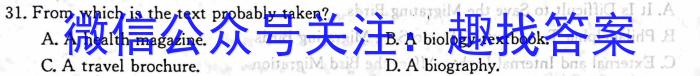 走向重点 2023年高考密破考情卷 宁夏(十)10英语试题