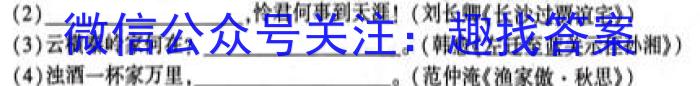 学科网2023年高三2月大联考(新教材)语文