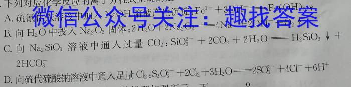 衡中同卷 2022-2023学年度上学期高三年级期末考试(新高考/新教材)化学