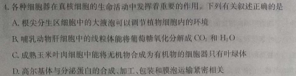 2024届普通高等学校招生全国统一考试 青桐鸣大联考(高二)(2023年2月)生物