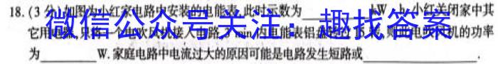 湖南省邵阳2022年下学期高二期末考试(标识★)物理