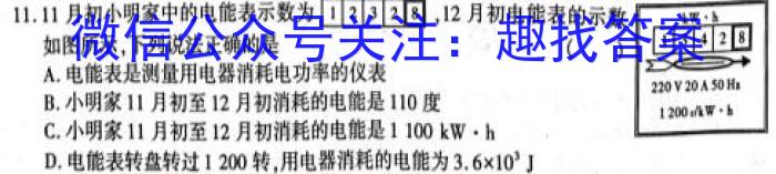 佩佩教育·2023年普通高校统一招生考试 湖南四大名校名师团队模拟冲刺卷(1)物理