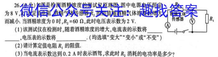 陕西省榆林市高二年级教学质量过程性评价(2月)物理