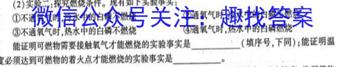 2023届西北师大附中高三模拟考试(2023年2月)化学