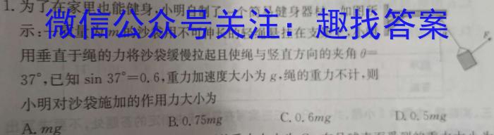 2024-2023学年百万联考高二2月联考(203B)物理