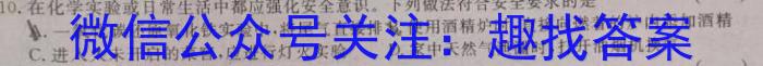 山西省2022~2023学年八年级期末评估卷(23-CZ13b)化学