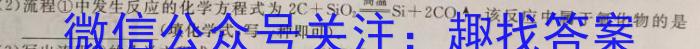 安徽省2023年八年级春季学业结果诊断测性试(2月)化学