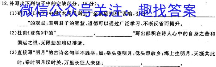 安徽第一卷·2023年九年级中考第一轮复习（十四）语文