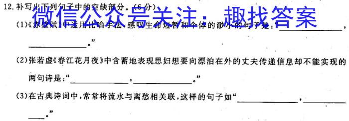 中学生标准学术能力诊断性测试2022年12月测试语文
