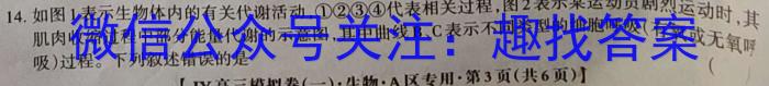 衡水金卷先享题2023届信息卷 全国乙卷(一)生物