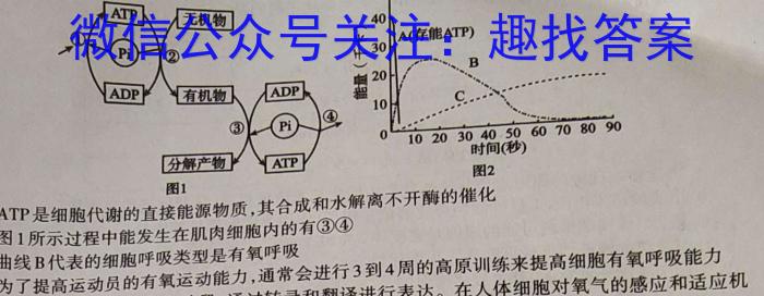 2023年全国高考冲刺压轴卷(六)6生物