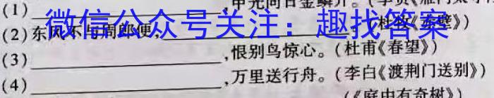 江淮名卷·2022年省城名字中考调研（二）语文