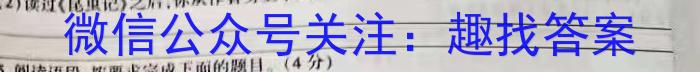 2023年普通高等学校招生全国统一考试进阶模拟试卷(仿真冲刺卷)(一)1语文