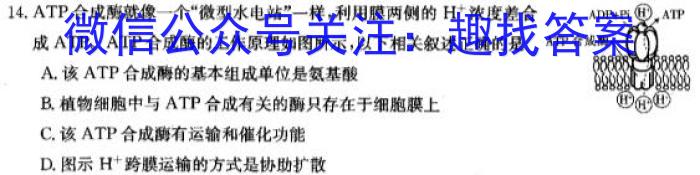 2022-2023学年陕西省高一2月联考(23-250A)生物