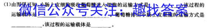 安徽省九年级2022-2023学年新课标闯关卷（十一）AH生物