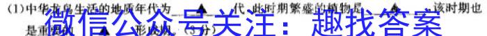 广东省揭阳市惠来县2023届九年级第一学期期末质量检测政治1