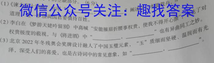 江淮教育联盟2023年春季九年级第一次联考语文