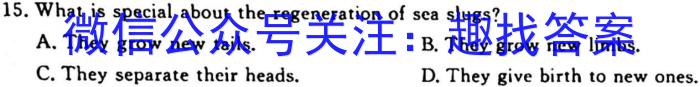 安徽省2022-2023学年度九年级第一学期教学质量监测(2月)英语