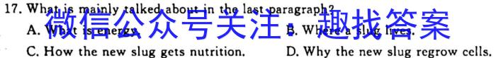 智慧上进2023届限时训练40分钟·题型专练卷(六)英语试题