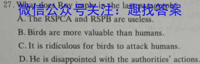 考前信息卷·第五辑 砺剑·2023相约高考 强基提能拔高卷(二)2英语试题