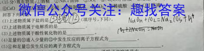 安徽省2023届九年级下学期第一次学情检测化学