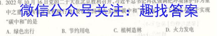 安徽第一卷·2023年安徽中考信息交流试卷（一）化学